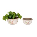 Pot Rose Shallow S/2