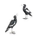 Magpie Timber Large S2