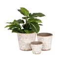 Pot Grey Flower Tall S/3