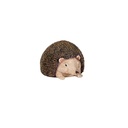 Hedgehog Large