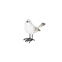 Snow bird Pair