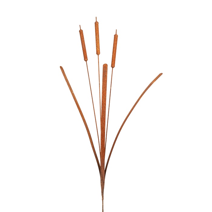 Stake Bulrush Rust>