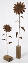 Stake Sunflower Rust Small