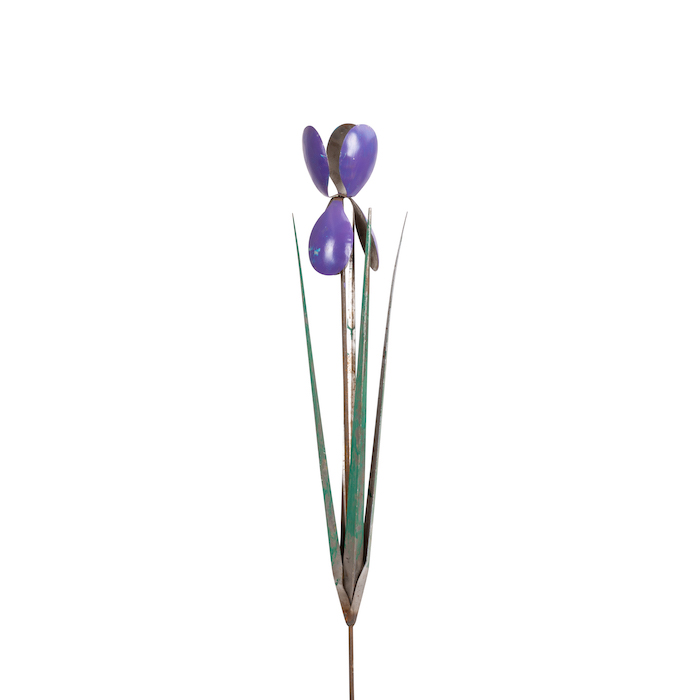 Purple Iris