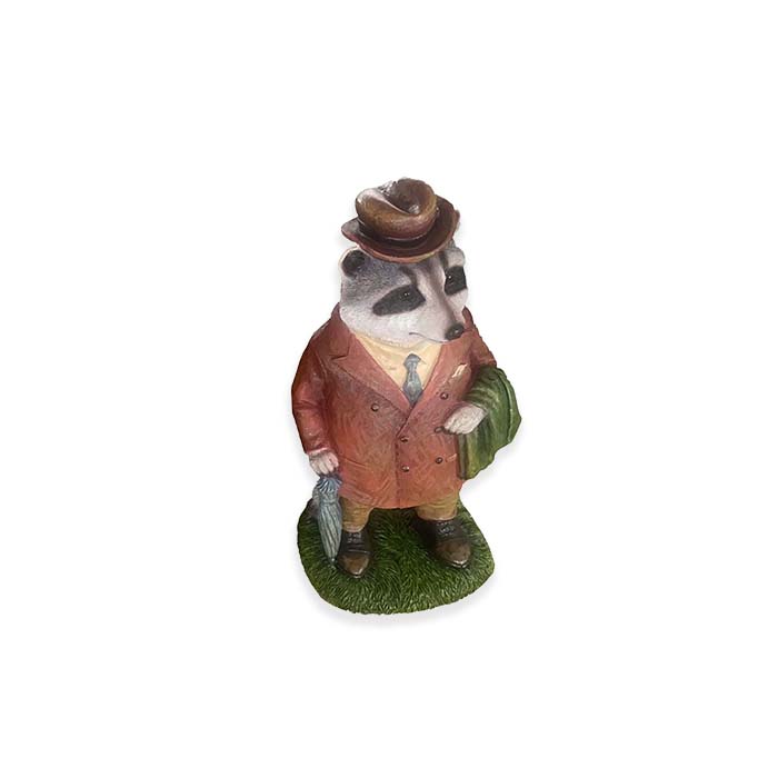 Raccoon Character