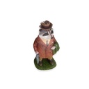 Raccoon Character