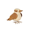 Kookaburra Poly Rust Large