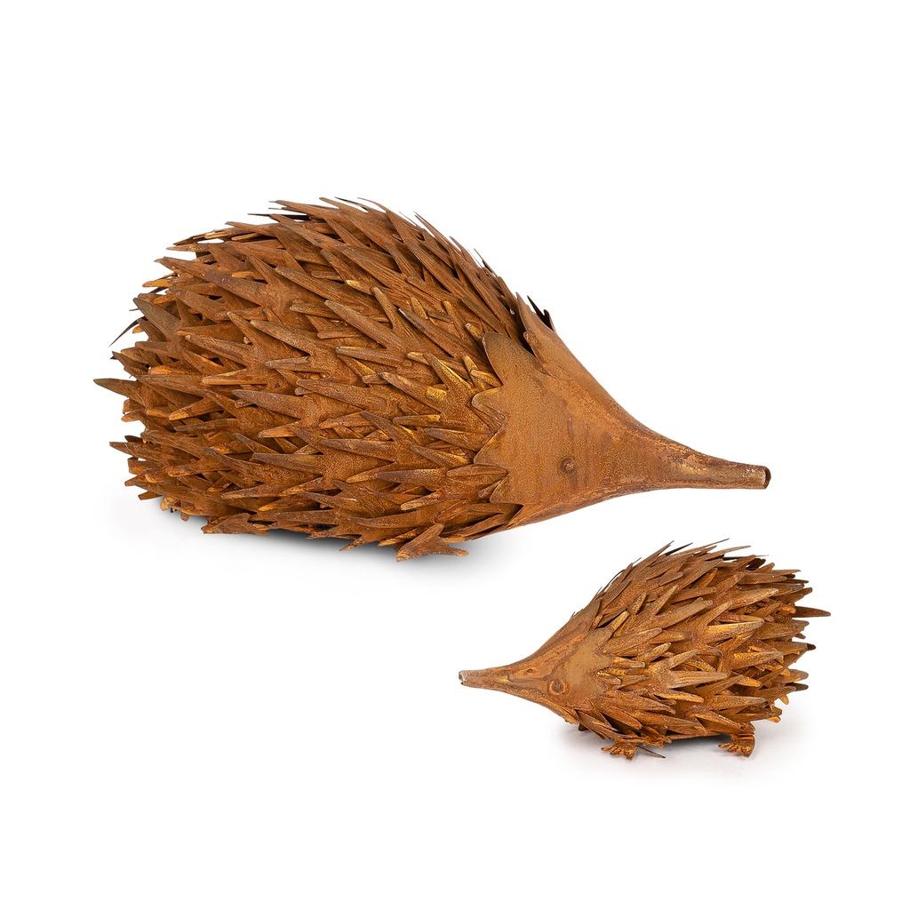 Echidna Rust S/2