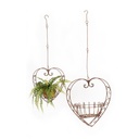 Planters Heart Rust S/2