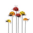 Stake Ladybug Asst S/M