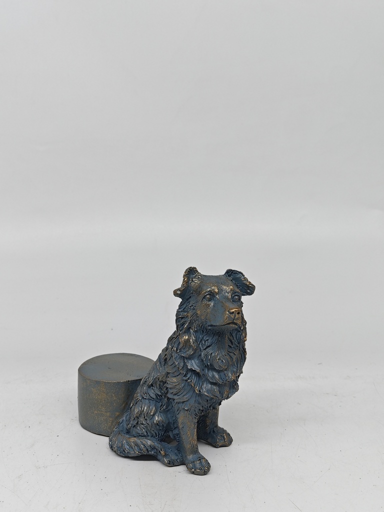 Collie Pot Feet