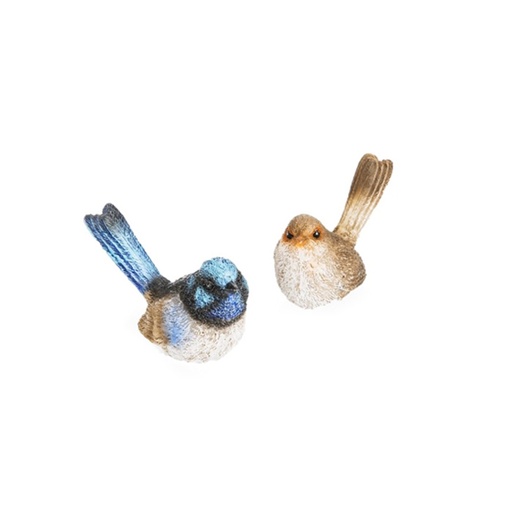 [11336] Fairy Wren mixed no feet