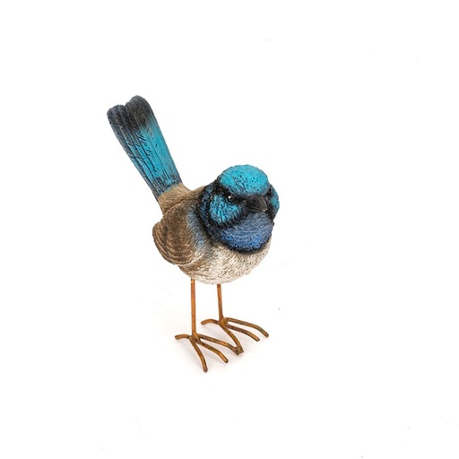 [11466] Fairy Wren Blue Large feet