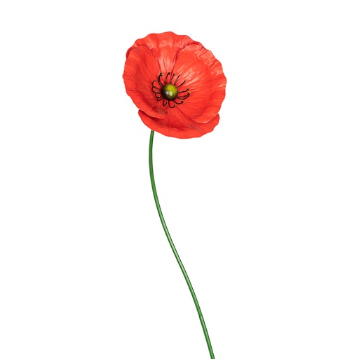 [11688] Stake Poppy Red XL