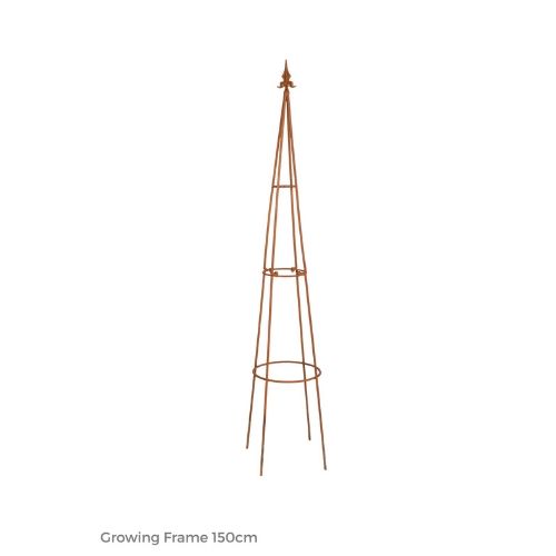 [14672] Growing Frame Rust 150cm^