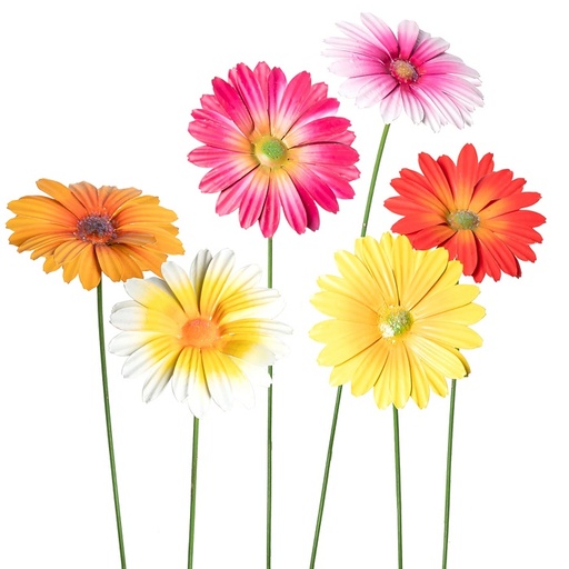 [15686] Gerbera Mixed Pack