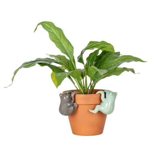 [16126] Frog Pot Sitters Assorted-:
