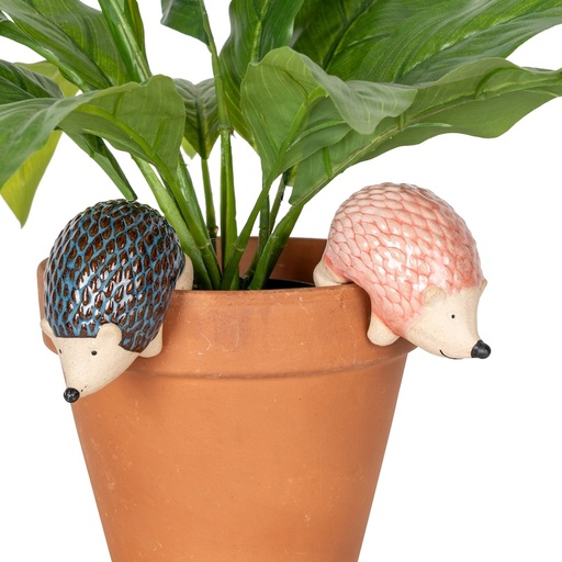 [16133] Echidna Pot Sitter Ass