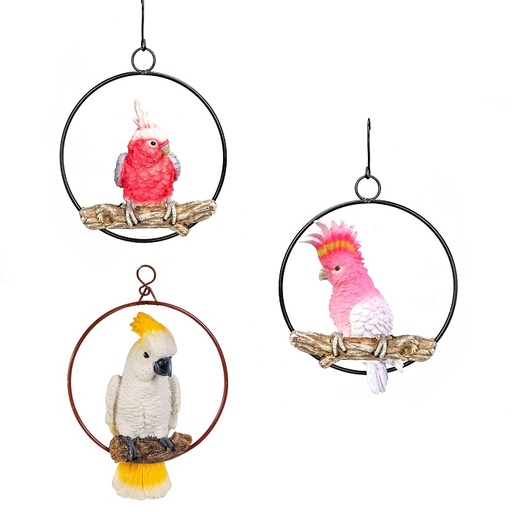 [16416] Cockatoo Pack in a Ring Mixed