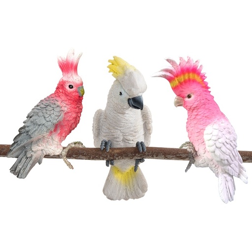 [16423] Cockatoo Assorted Pot Sitters
