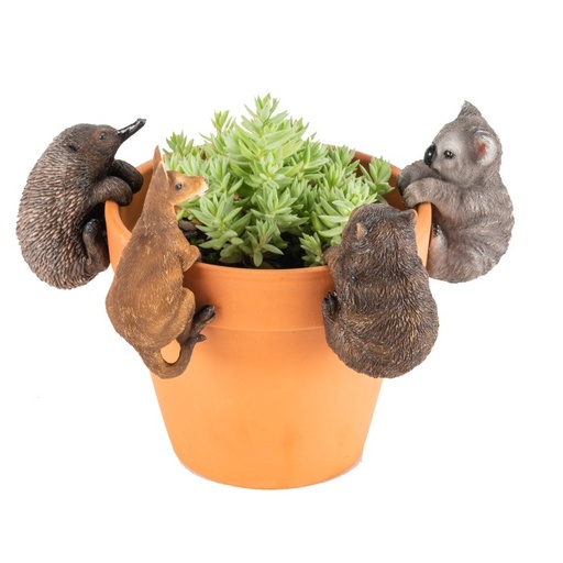 [17642] Aussie Animal Asst Pot Sitters
