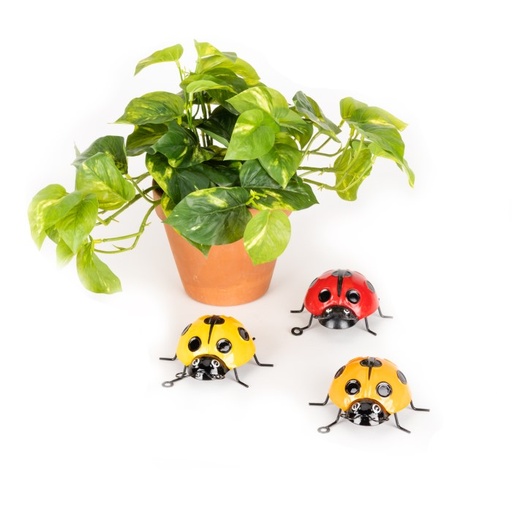[17734] Ladybug Asst Small