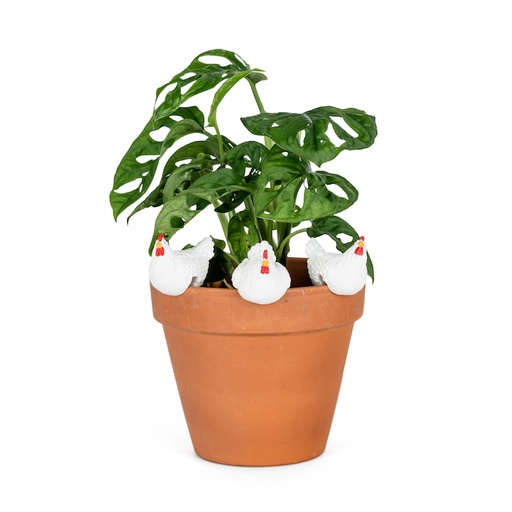 [21038] Chicken Pot Sitter White Asst