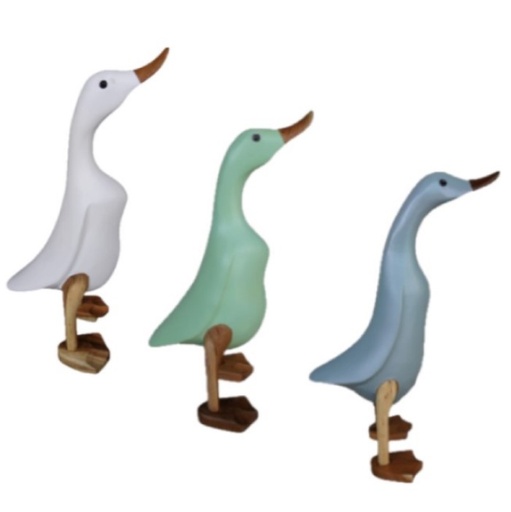 [21960] Duck Bamboo Coloured Med