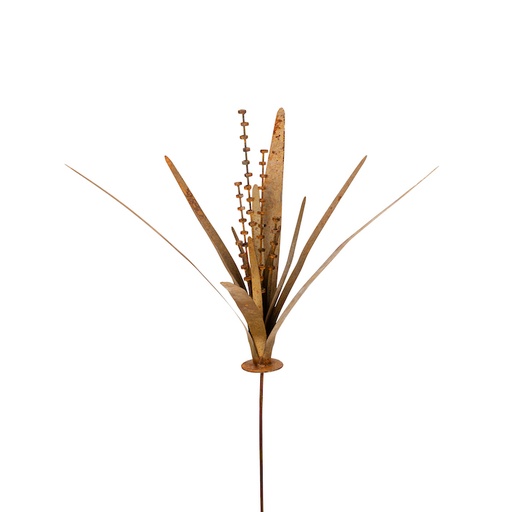 [22004] Stake Yucca Rust*