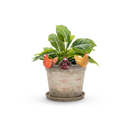 [22905] Chicken Pot Sitter Color Large