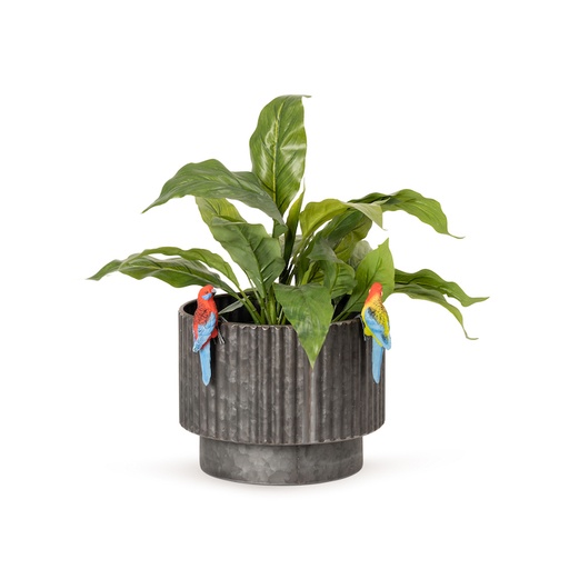 [22929] Crim/East Rosella Pot Sitter