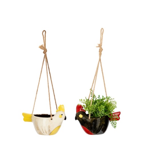 [23582] Pot Cocky Hanging Mixed Pack