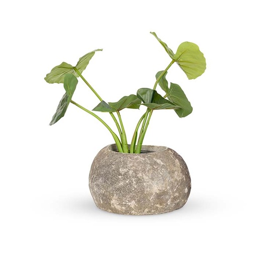 [23896] Bowl Stone Deep Large