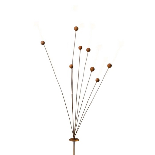 [24008] Spray Billy Buttons Short Rust