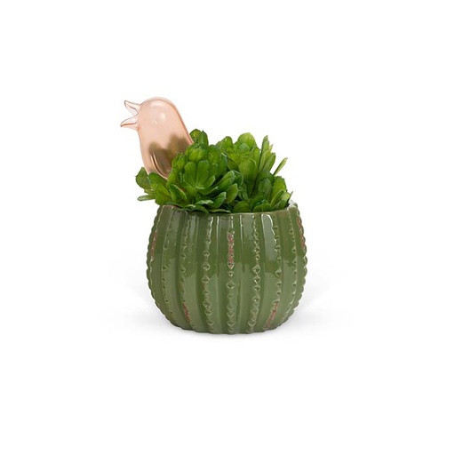 [24015] Bird Waterer Spike