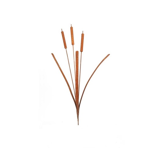 [24978] Stake Bulrush Short Rust