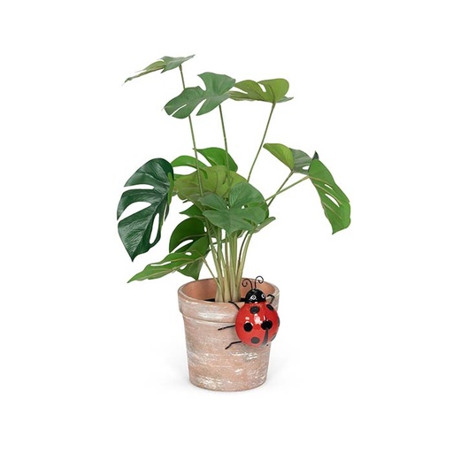 [25043] Ladybug Red Pot Sitter Small