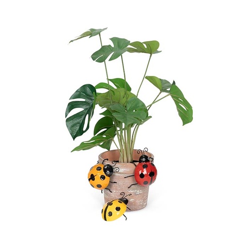 [25050] Ladybug Asst Pot Sitter Small