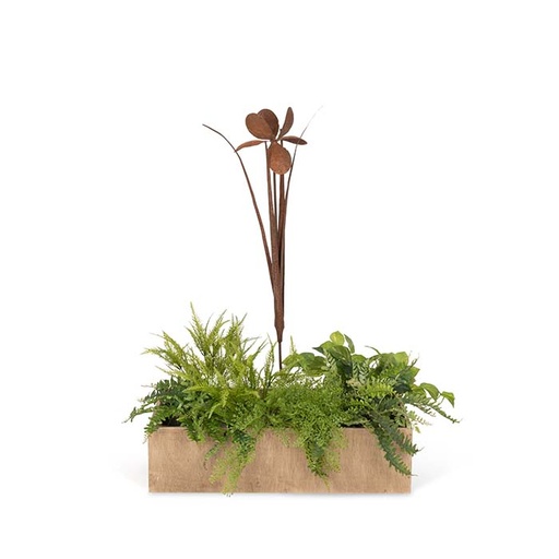 [25203] Stake Iris Rust