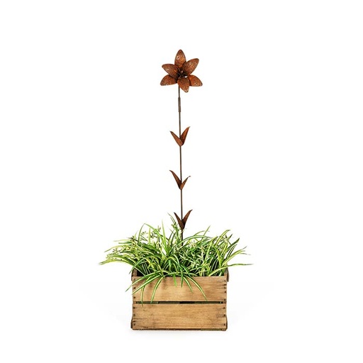 [25210] Stake Lily Rust