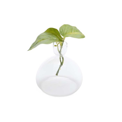 [25227] Acorn Vase
