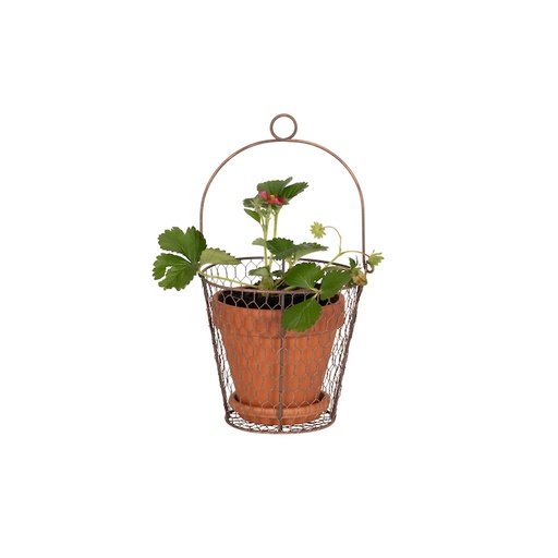 [26835] Wire Pot Cover with handle20cm