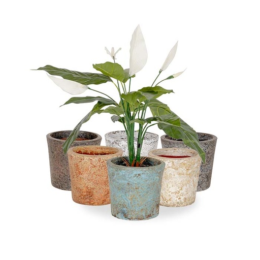 [26934] Pot Terracotta Aged Mixed 17cm