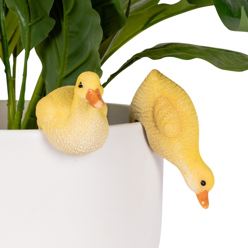 [27696] Duckling Pot Sitters Assorted