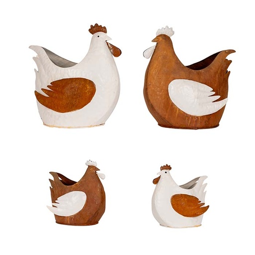 [27924] Fat chook white/rust mixed S/2