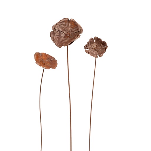[27993] Poppy Flower Rust S/3