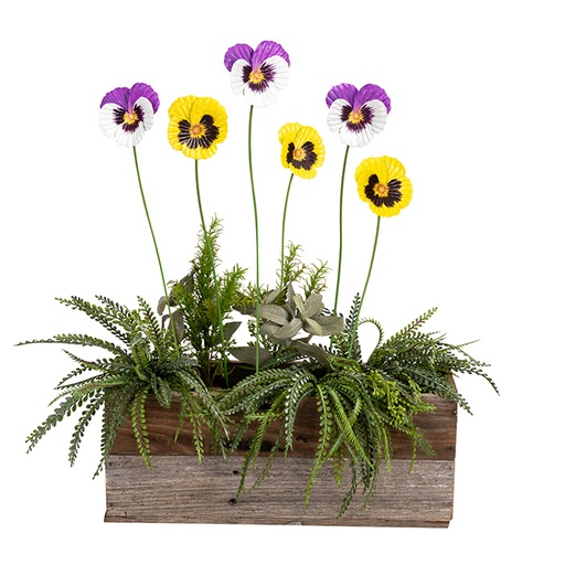 [28631] Pansy 60cm 2 colour pack