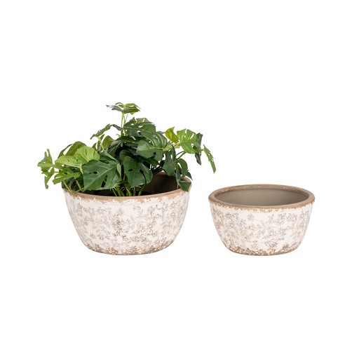 [29706] Pot Grey Shallow S/2