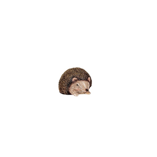 [29805] Hedgehog Medium