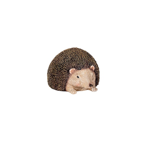 [29812] Hedgehog Large